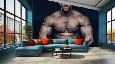 Male bodybuilder, fitness model Wall mural