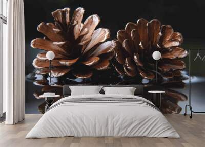 Two Pine Cones Floating on Water with Reflections Wall mural