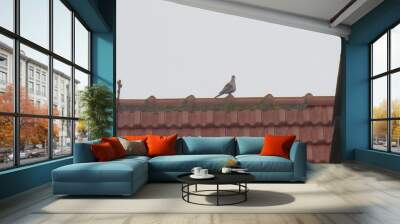 roof and dove Wall mural