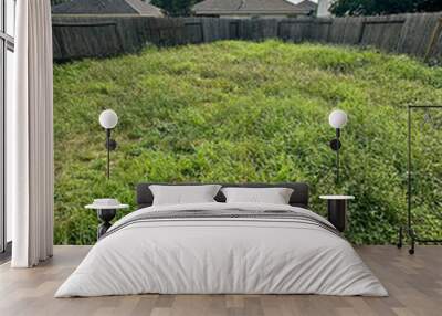 Abandoned looking house backyard with very overgrown grass surrounded by a old wood fence under a blue sky. Wall mural