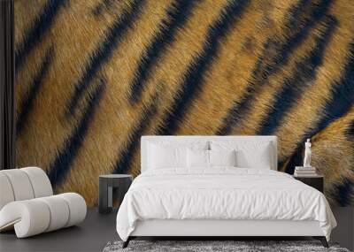 Colorful patterns of tiger fur. Wall mural