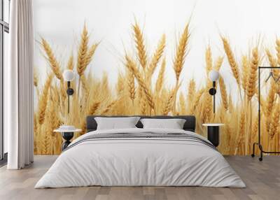 wheat field isolated Wall mural