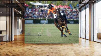 Polo Player Wall mural