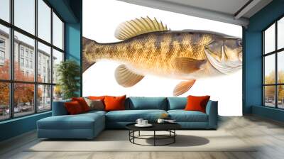 Largemouth bass fish isolated on transparent background
 Wall mural