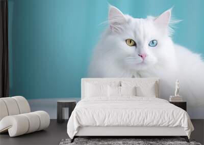 portrait of a white breed of the turkish angora, van cat sitting, beautiful green and blue eyed cat, Wall mural