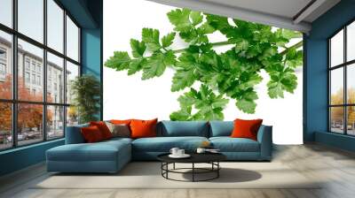 Fresh Parsley isolated Wall mural