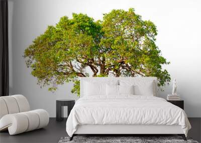 Tree with green leaves on a white background Wall mural