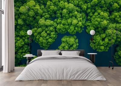 aerial view of mangrove forest background Wall mural