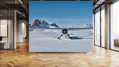 Small bush plane with skiis landing on an snow field Wall mural