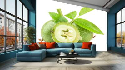 Green walnuts isolated on white background Wall mural