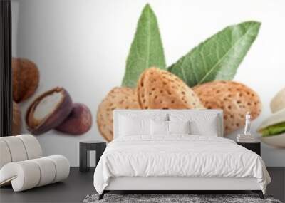 Nuts isolated on white background Wall mural