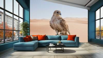 man holding White and Beige Falcon in the arab desert. Wall mural