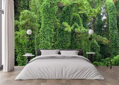 Kudzu Wall mural