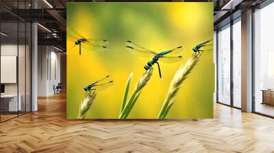 five dragonflies on blade of grass in background of yellow blur. Wall mural