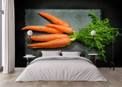 Fresh carrots on black background Wall mural