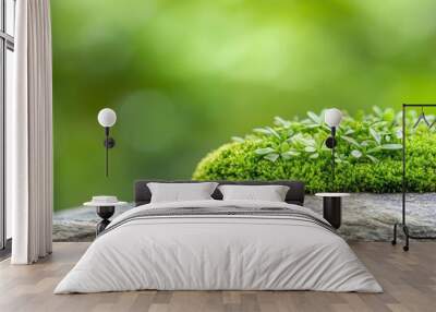 Beautiful bright green moss grown up and cover the rough stones with blur green nature background Wall mural