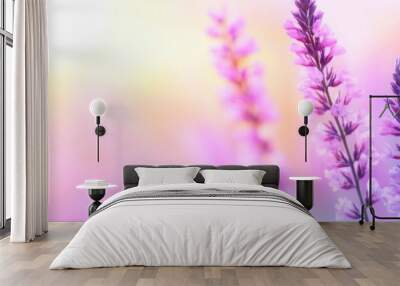 artwork meadow with wildflowers at dusk macro shot shallow field depth abstract summer background in August Wall mural