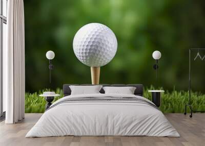 White golf ball on wooden tee with grass. Wall mural