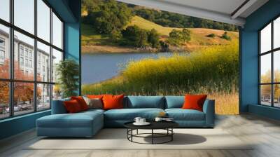 California lake and hillside in summer Wall mural