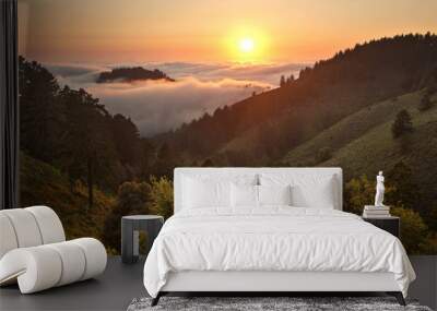 Dense Fog over Pacific Ocean in Coastal California Forest Wall mural