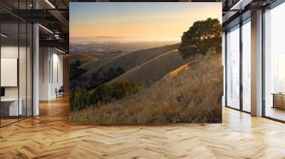 Mountaintop view of East Bay and San Francisco Bay in summer, California Wall mural