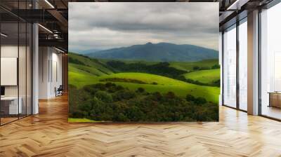 Rolling hillside pasture in bucolic California Wall mural