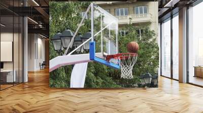 mesh basketball Wall mural