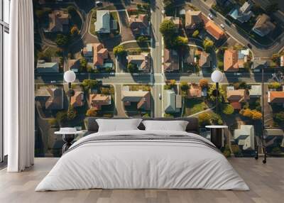 Aerial view of residential alley, row of residential property real estate houses Wall mural