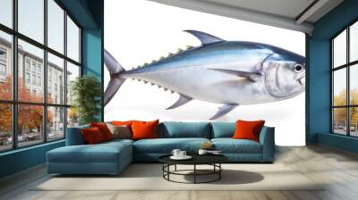 Bluefin tuna on a white background, fresh tuna caught by fishermen. Tuna fish contains very high amounts of folate, iron and vitamin B12 so it can prevent anemia. Wall mural