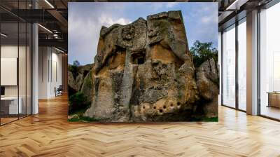 Two lions on the rocks in Phyrigian valley in city of Afyon Wall mural