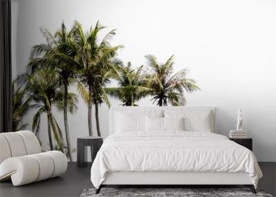 coconut tree on white sky background Wall mural