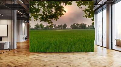 sunset view and green field from under leaves  Wall mural