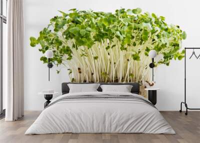 Cress with roots isolated on white background Wall mural