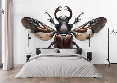 A Detailed View of a Magnificent Beetle Wall mural