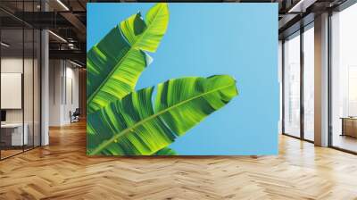 banana leaf with clear blue sky Wall mural