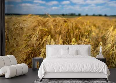 Golden grain against the blue sky. Ripe Rye Wall mural