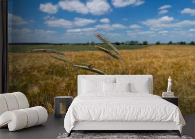 Golden grain against the blue sky. Ripe Rye Wall mural