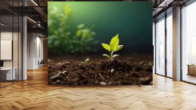 A close-up image of a green plant growing Wall mural