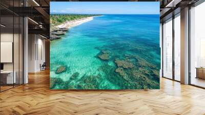 aerial photography,shorelines of philippines, camera looking towards the ocean horizon, clear water with visible sand and rocks underneath with generative ai Wall mural