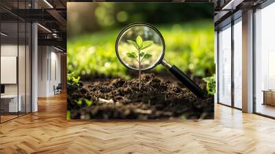 Magnifying glass focused on seedling tree growing on the grass in green garden background. Agriculture concept, suitability growing plants, with generative ai Wall mural