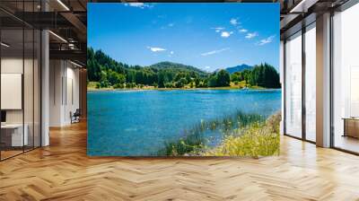 Patagonia Landscape, blue water green forest Wall mural