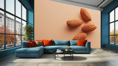 copy space of almond nut. Wall mural