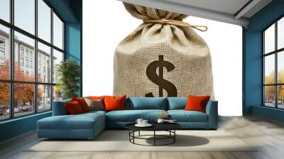 money bag on white background Wall mural