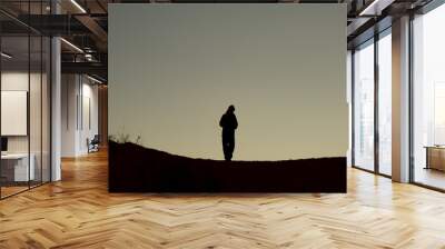 A woman's silhouette in the desert Wall mural