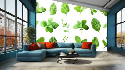 Set of mint leaves isolated on white or transparent background png cutout Wall mural