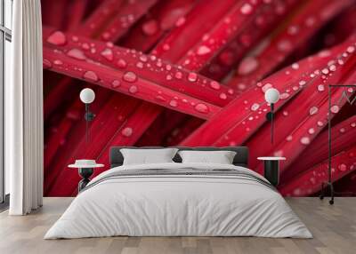 A close-up of dew on red grass blades, capturing the droplets that enhance the color's richness and depth. Wall mural