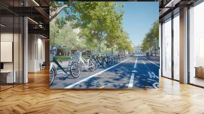 A network of urban bike lanes, filled with bicycles, in a car-free city center to promote sustainable urban transport. The cityscape features modern, clean architecture and tree-lined streets. Wall mural