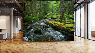 a serene forest with a mossy log crossing a bubbling brook Wall mural