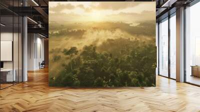 An early morning scene in the Amazon, with the fog lifting to reveal the lush, green landscape bathed in the soft, warm light of sunrise Wall mural