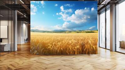 Beautiful landscape with field of wheat and blue summer sky Wall mural